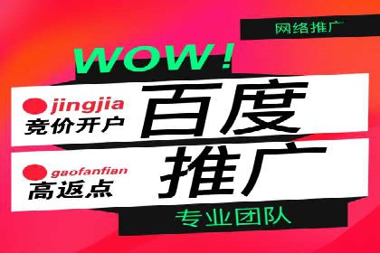 成功案例揭秘：如何有效进行SEM推广